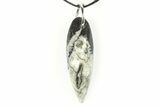 1 1/2 - 2" Polished Orthoceras Fossil Necklace - Morocco - Photo 3